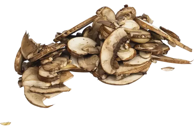 Kastanje champignons schijven 1kg kist 4 stuks